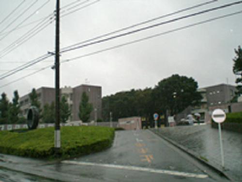 日本大学 